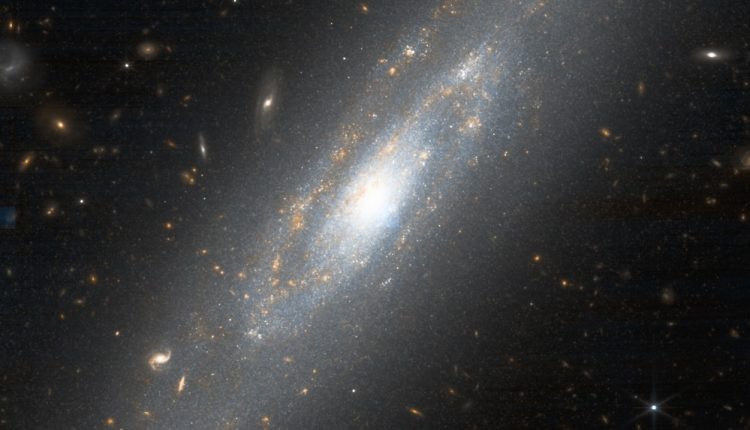 Webb releases tension in Hubble

