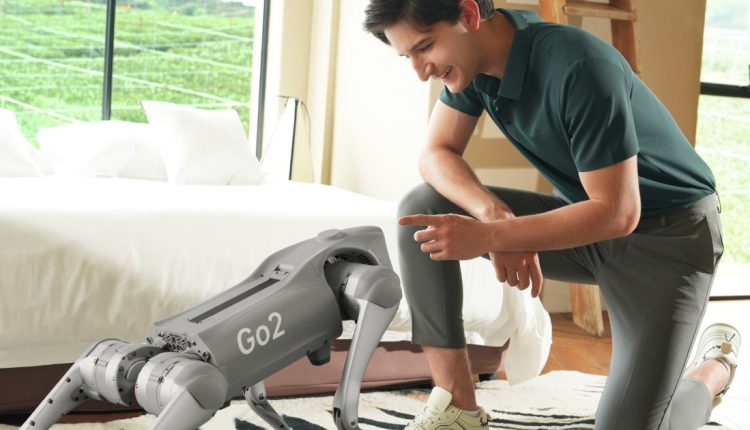 Unitree Go2: Thanks to innovation, you can have a robot companion

