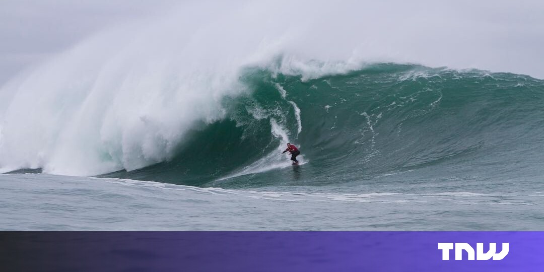 Big wave surfer rises from the barrel with $120 million regenerative agriculture fund