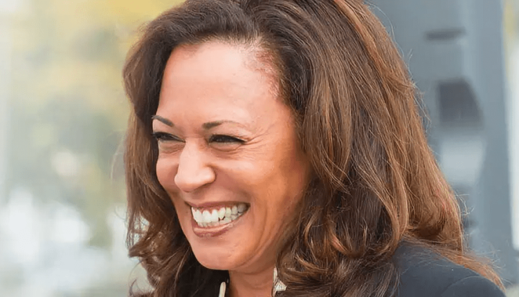 The new climate patriotism campaign – what’s going on with it?

