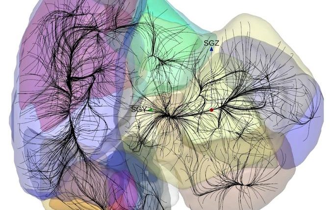A data visualization of the motions of galaxies in structures called basins of attraction. The Milky Way is the red dot. Courtesy of the University of Hawai'i.