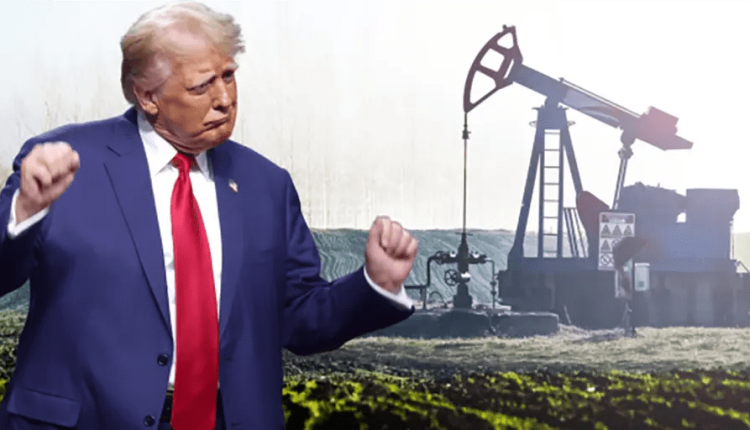 Einige Vorschläge zur Klima- und Umweltpolitik für den neuen Sheriff in der Stadt – sind Sie damit einverstanden?
