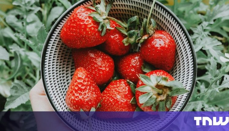Can OpenAI's Strawberry program fool people?

