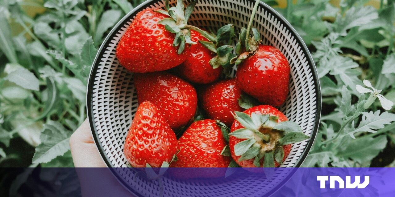 Can OpenAI's Strawberry program fool people?