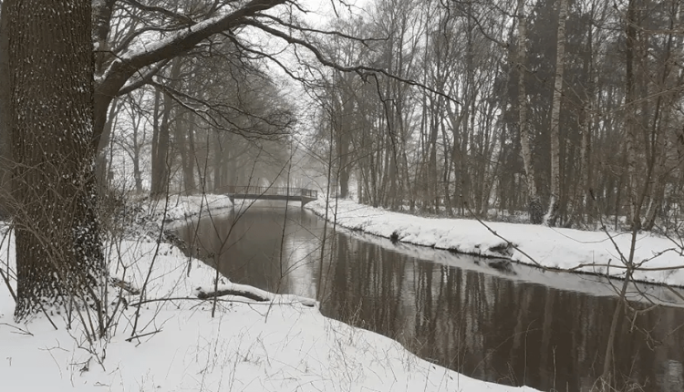 Merry Christmas! And while we've seen some brutal years, things are looking really good for 2025 - are you happy with that?

