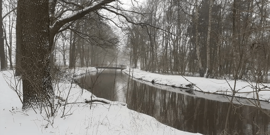 Merry Christmas! And while we've seen some brutal years, things are looking really good for 2025 - are you happy with that?