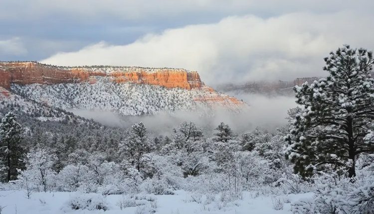 Weekly Climate and Energy News Roundup #626 – Watts Up With That?