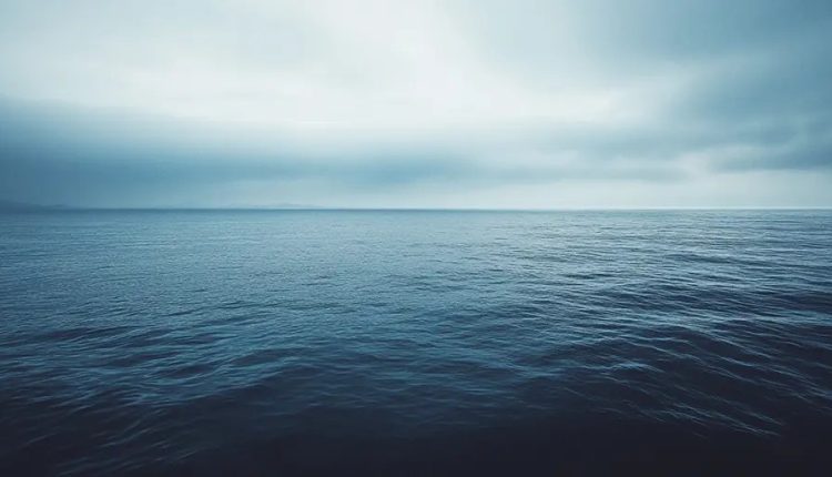 Bad models, bad data and a clear agenda - is one?

