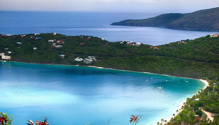 Fake news, CNN and UN, climate change does not interfere with Latin America's food production - watts?

