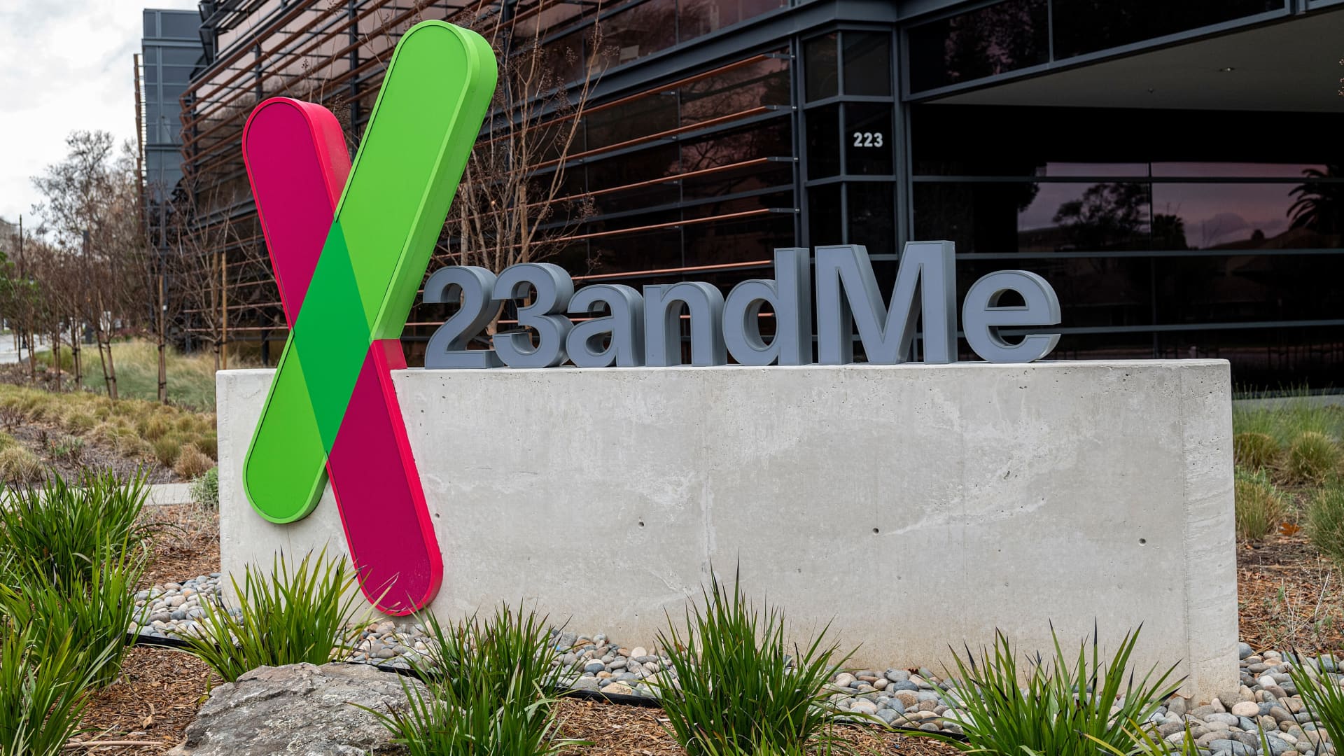 23Andme has filed for bankruptcy. How to delete your genetic data