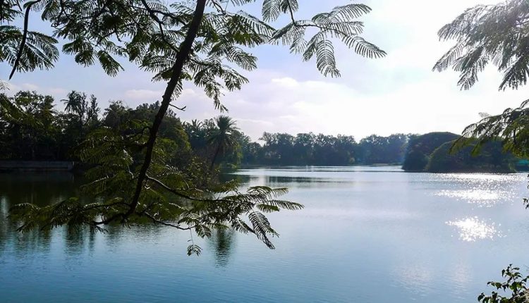 Summertime Reality turned into climate loss - watts with that?

