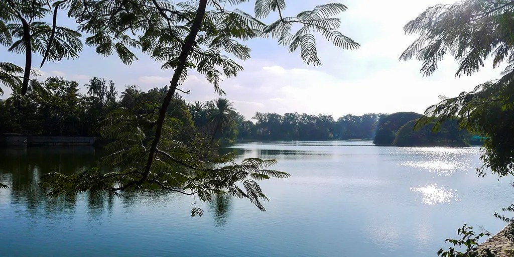 Summertime Reality turned into climate loss - watts with that?