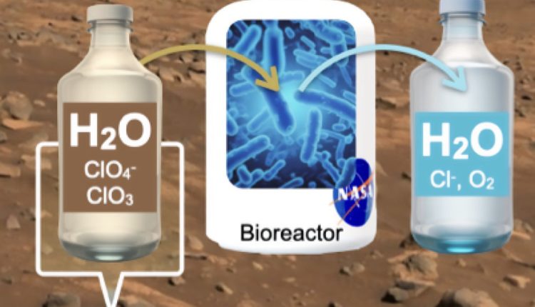mars-water-purification.jpg