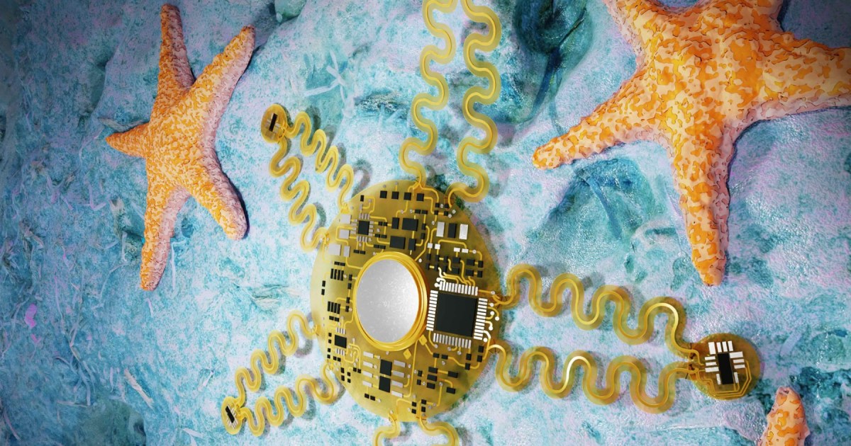 Sea -like device is an insight into the future of portable sensors