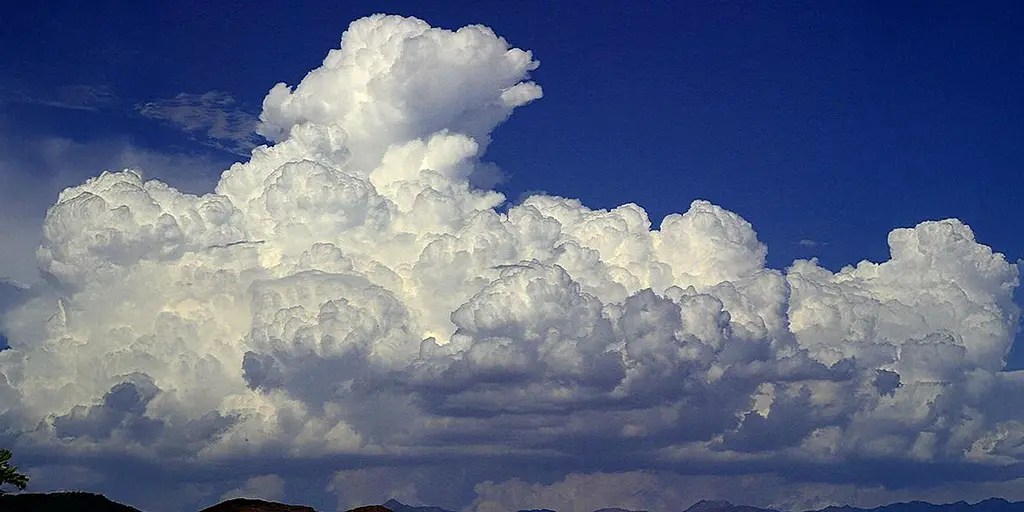 More climate disputes silly from science - watts with that?