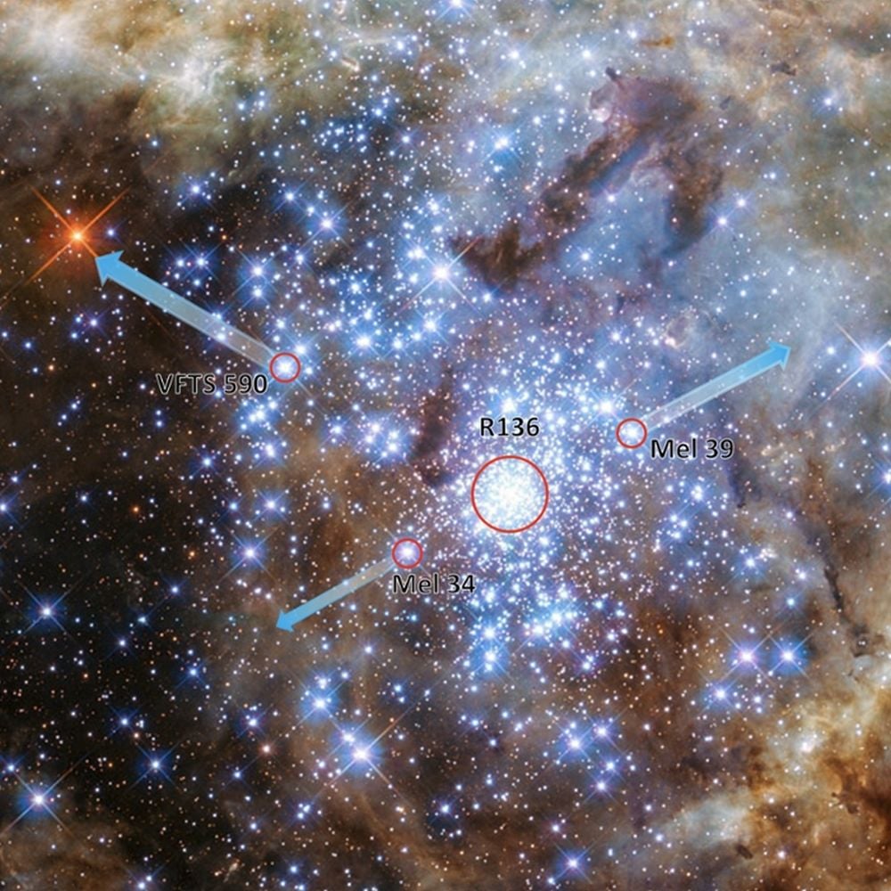 This image and text show the runaway stars VFTS 590, the binary star Mel 39 and the binary star Mel 34 ejected in near-collisions from cluster R136 in the Tarantula Nebula. Astronomers have recreated the expulsion to learn what was behind it. Credit: NASA, ESA, P. Crowther/University of Sheffield, Mitchel Stoop.