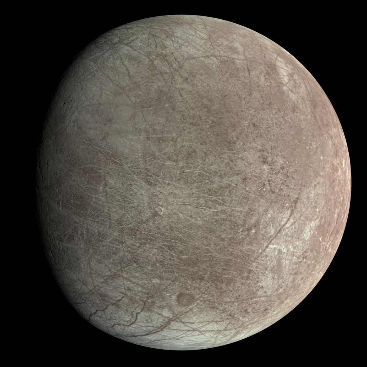 A new study reveals more about the processes on Jupiter's moon Europa. (Credit : NASA/JPL-Caltech/SwRI/MSSS)