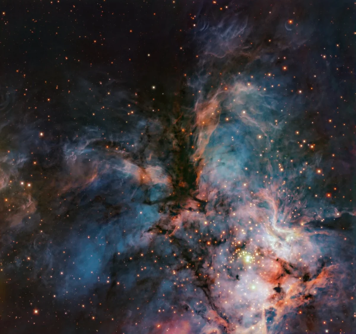ESO's picture of the week shows a "cosmic hawk" and countless young stars in the RCW 36 nebula. Credit: ESO/A. R. G. do Brito do Vale et al. (2026).